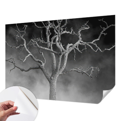 Fototapeta do dětského pokoje Mlžný strom
