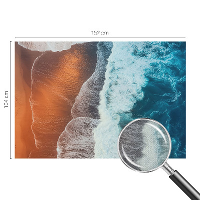 Samolepicí fototapeta na zeď Mořská symbióza