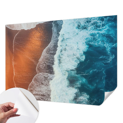 Samolepicí fototapeta na zeď Mořská symbióza