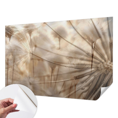 Samolepicí fototapeta do obýváků Jemné pampelišky
