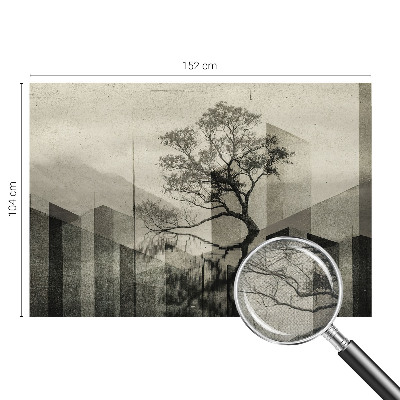 Fototapeta pro holku Syrová elegance