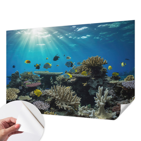 Moderní samolepicí fototapeta Podvodní svět