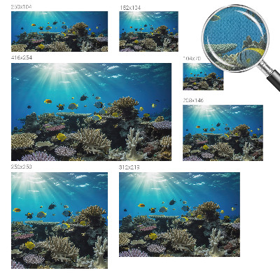 Moderní samolepicí fototapeta Podvodní svět