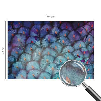 Samolepící tapeta Barevné peří