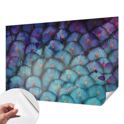 Samolepící tapeta Barevné peří