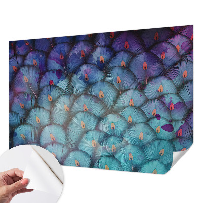 Samolepící tapeta Barevné peří