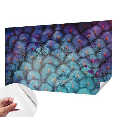 Samolepící tapeta Barevné peří