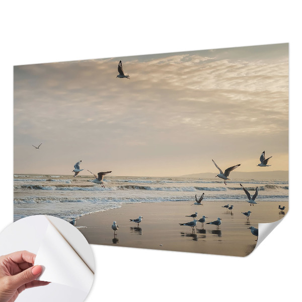 Fotografická tapeta samolepicí Klid u moře