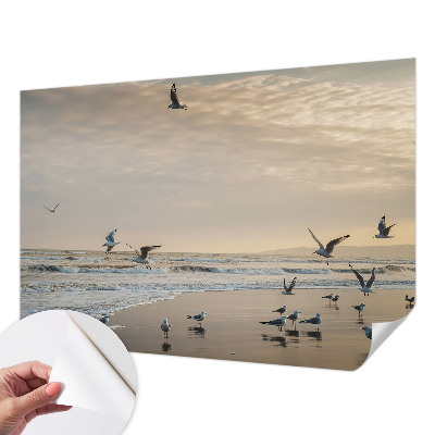 Fotografická tapeta samolepicí Klid u moře