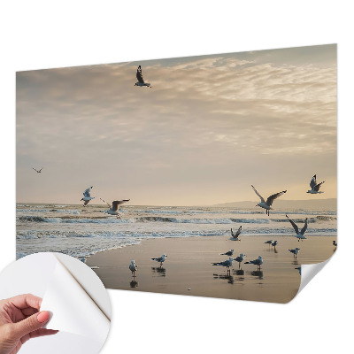 Fotografická tapeta samolepicí Klid u moře