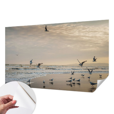 Fotografická tapeta samolepicí Klid u moře