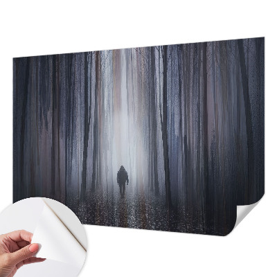 Fotografická tapeta na zeď Lesní ticho