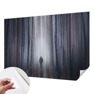 Fotografická tapeta na zeď Lesní ticho