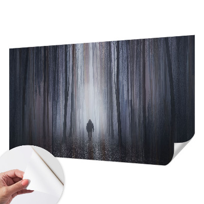 Fotografická tapeta na zeď Lesní ticho