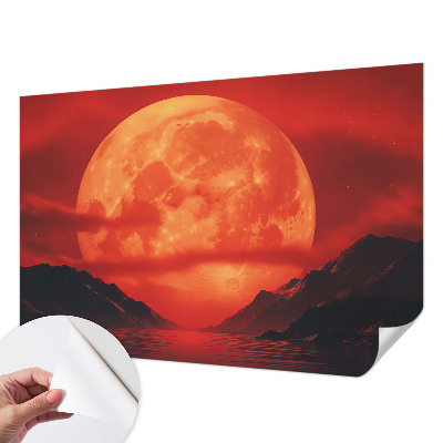 Fototapeta pro holku Noční jev
