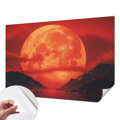 Fototapeta pro holku Noční jev