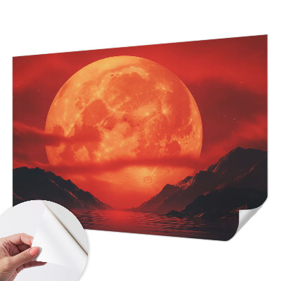Fototapeta pro holku Noční jev