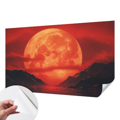 Fototapeta pro holku Noční jev