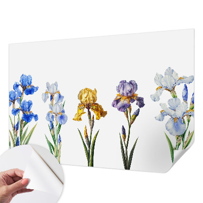 Fototapeta pro kluka Květy kosatců