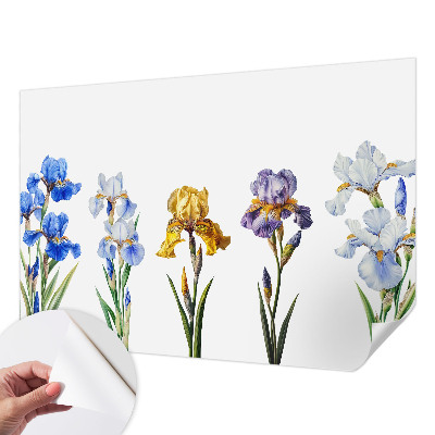 Fototapeta pro kluka Květy kosatců