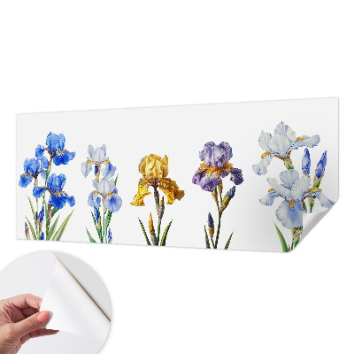 Fototapeta pro kluka Květy kosatců
