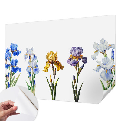 Fototapeta pro kluka Květy kosatců