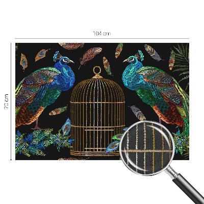 Samolepicí fototapeta do ložnice Obrázek páva