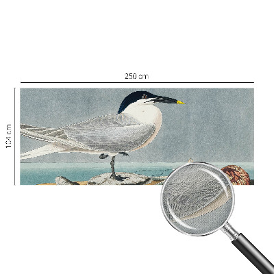 Dětská fototapeta Ornitologická elegance