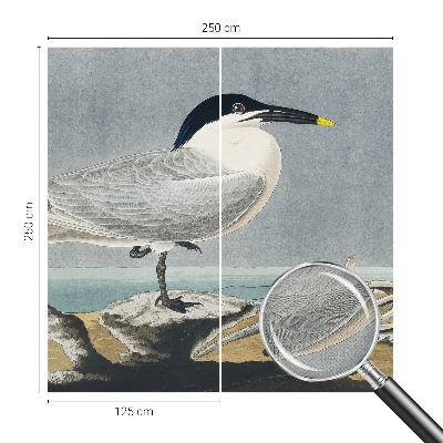 Dětská fototapeta Ornitologická elegance