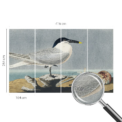 Dětská fototapeta Ornitologická elegance