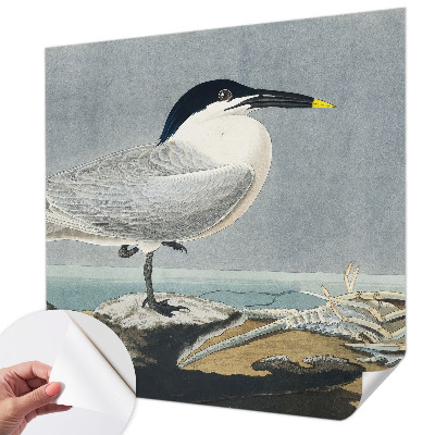 Dětská fototapeta Ornitologická elegance