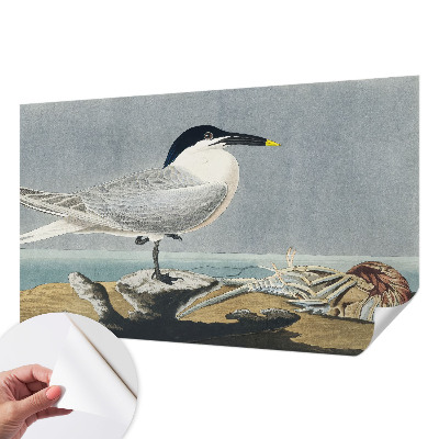 Dětská fototapeta Ornitologická elegance