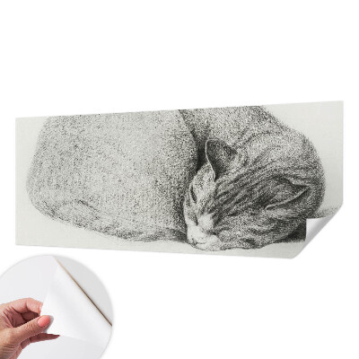 Fotografická tapeta na zeď Stočená kočka