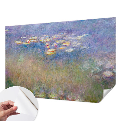 Samolepicí fototapeta na míru Lekníny