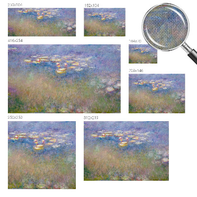 Samolepicí fototapeta na míru Lekníny