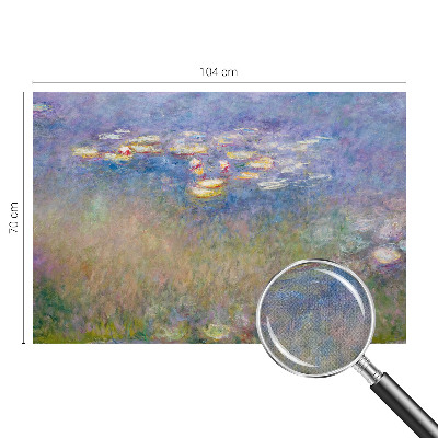 Samolepicí fototapeta na míru Lekníny