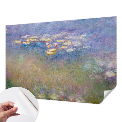 Samolepicí fototapeta na míru Lekníny