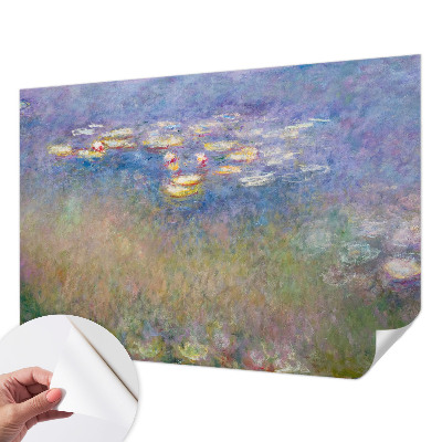 Samolepicí fototapeta na míru Lekníny