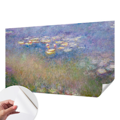 Samolepicí fototapeta na míru Lekníny