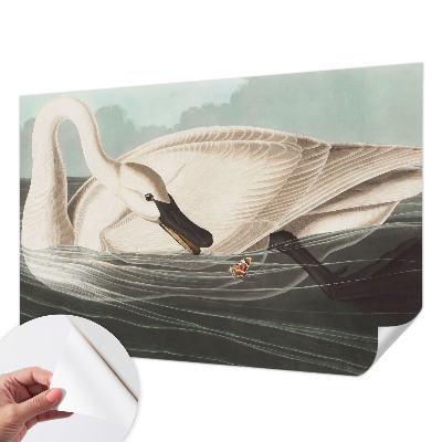 Samolepicí fototapeta Harmonie přírody