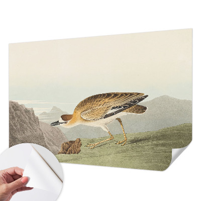 Samolepicí fototapeta na zeď Horský pták