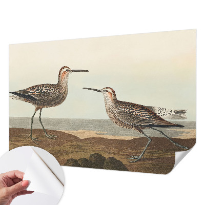 Fototapeta do dětského pokoje Siluety ptáků