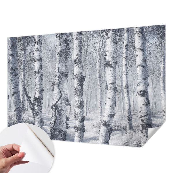 Samolepicí fototapeta do dětského pokoje Mrazivá příroda