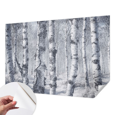 Samolepicí fototapeta do dětského pokoje Mrazivá příroda