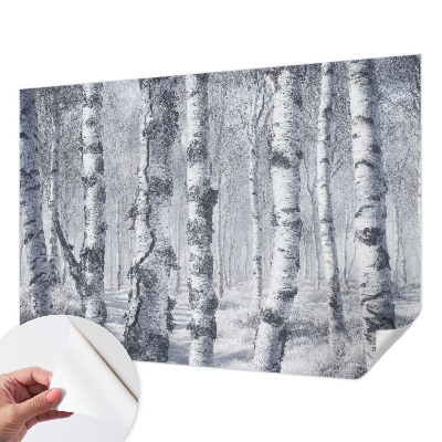 Samolepicí fototapeta do dětského pokoje Mrazivá příroda