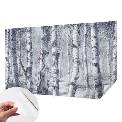 Samolepicí fototapeta do dětského pokoje Mrazivá příroda