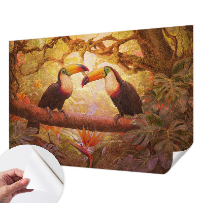 Samolepící fototapeta 3d Barevné tukani