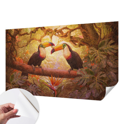 Samolepící fototapeta 3d Barevné tukani