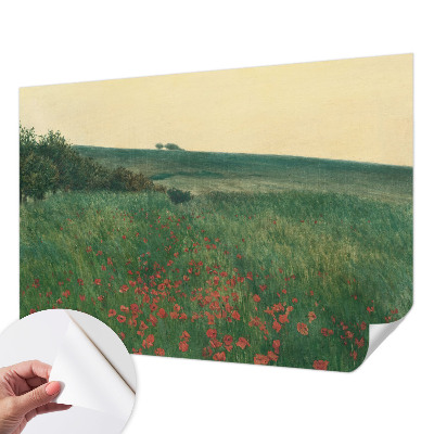 Samolepicí fototapeta do dětského pokoje Maková pole