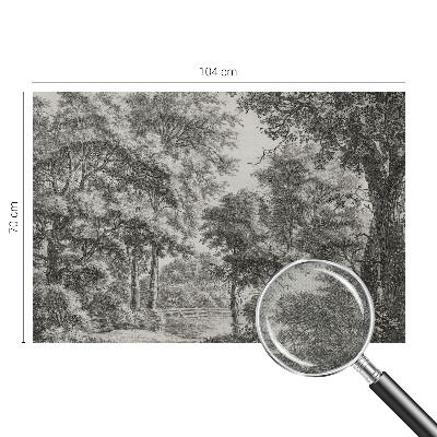 Samolepicí dekorativní fototapeta Lesní scenérie